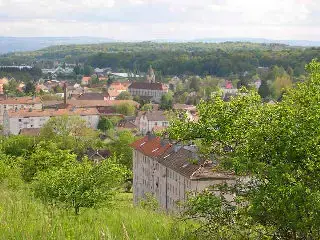 Monte Escalier 90 Fabricant monte escalier Danjoutin